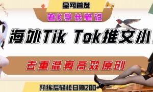 海外TikTok小说推文项目玩法详解 零成本高转化副业实操指南-雨叶虚拟资源网