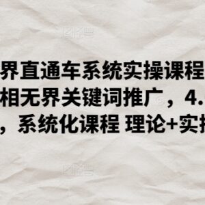 2024无界直通车系统实操课程 淘宝万相无界关键词推广教程-雨叶虚拟资源网