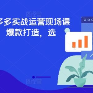 2024年7月拼多多实战运营课 选品爆款打造规则解析实操指南-雨叶虚拟资源网