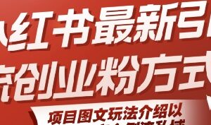 小红书引流创业粉最新图文玩法 安全导流私域全流程操作指南-雨叶虚拟资源网