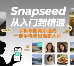 Snapseed手机修图从入门到精通教程 零基础也能修出专业摄影大片-雨叶虚拟资源网