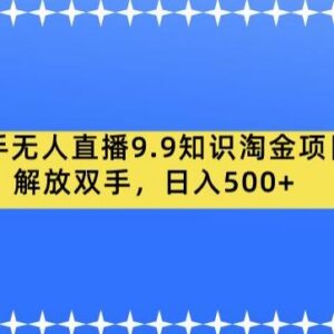 快手无人直播9.9知识淘金项目 附完整实操运营配套教程-雨叶虚拟资源网
