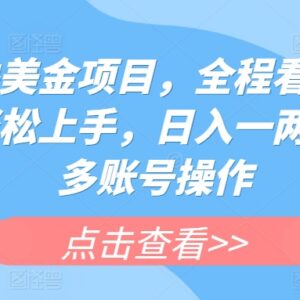 看海外直播赚美金项目实操教程 小白易上手可多账号操作-雨叶虚拟资源网