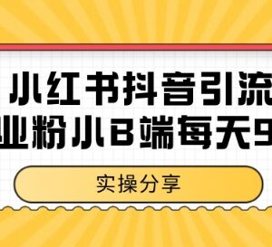 小红书抖音引流创业小B端粉实操方法 日引99+精准粉玩法解析-雨叶虚拟资源网