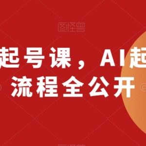 AI动画账号起号全流程教学 从工具操作到IP打造实操方法-雨叶虚拟资源网