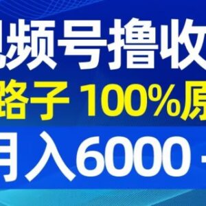 视频号低竞争原创收益玩法 高爆款率副业月入6000+实操分享-雨叶虚拟资源网