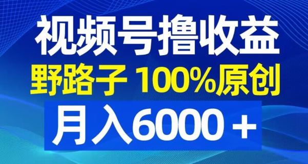 视频号低竞争原创收益玩法 高爆款率副业月入6000+实操分享