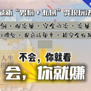 2024年男粉+私域变现玩法解析 长期可做的高收益赚钱项目-雨叶虚拟资源网
