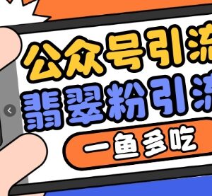 2024公众号如何用推荐及搜一搜流量引流翡翠粉实现一鱼多吃-雨叶虚拟资源网
