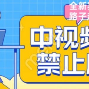 中视频禁止废话系列视频制作教程 全新蓝海起号玩法全解析-雨叶虚拟资源网