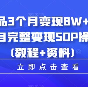 小学教辅虚拟产品完整变现SOP 3个月盈利8万实操教程-雨叶虚拟资源网