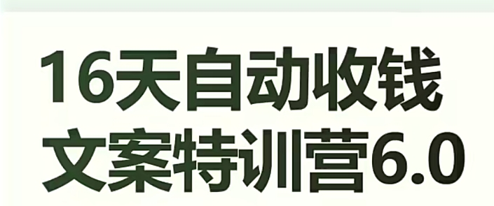 16天自动收钱文案特训营6.0 从布局到实操掌握高转化文案技巧
