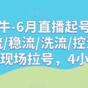 久久疯牛6月直播起号教学 4小时演示拉流稳流洗流控流实操技巧-雨叶虚拟资源网