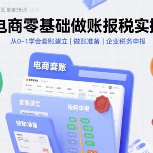电商零基础做账报税实操教程 从建账到税务申报全流程教学-雨叶虚拟资源网
