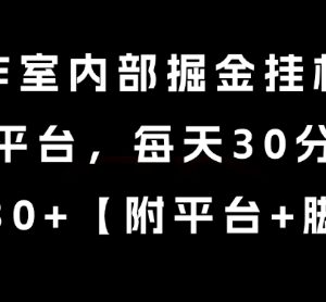 工作室内部未对外掘金挂机项目 新平台低耗时单机稳定日入30+-雨叶虚拟资源网