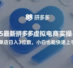 2025拼多多虚拟电商实操手册 小白易上手附专属选品工具-雨叶虚拟资源网