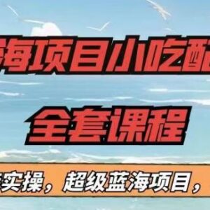 无经验可做的蓝海小吃配方全套课程 新手看完直接上手单人日入过千-雨叶虚拟资源网