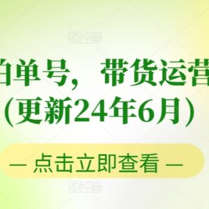 2024年6月更新图书实拍书单号带货运营课 0粉起号零基础入门进阶-雨叶虚拟资源网