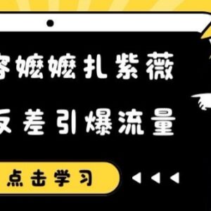 恶搞容嬷嬷扎紫薇反差短视频 高流量引流玩法实操教程-雨叶虚拟资源网