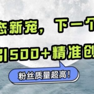 微信小绿书引流实操攻略 日引500+精准创业粉玩法详解-雨叶虚拟资源网