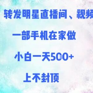仅需手机操作的转发明星内容副业 小白在家可做收益上不封顶-雨叶虚拟资源网