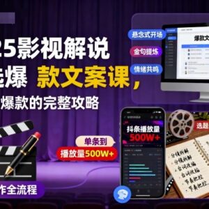 2025影视解说爆款文案课 零基础到打造爆品全流程攻略-雨叶虚拟资源网