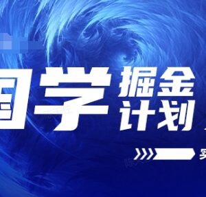 2024国学掘金项目实战教学 高复购长久型可落地副业玩法解析-雨叶虚拟资源网