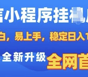 2025微信小程序挂机广告赚钱教程 纯小白易上手稳定获收益-雨叶虚拟资源网