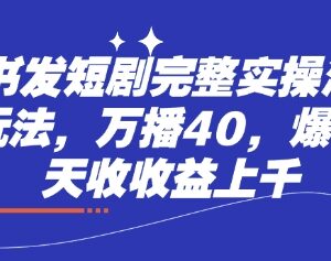 小红书短剧发布实操全流程 两种玩法万播40爆单日收益上千-雨叶虚拟资源网
