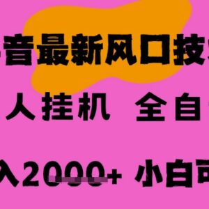 抖音无人直播挂机掘金项目详解 小白可操作长期稳定可批量复制-雨叶虚拟资源网