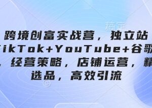 跨境独立站运营实战课程 TikTok+谷歌多渠道引流选品全流程教学-雨叶虚拟资源网