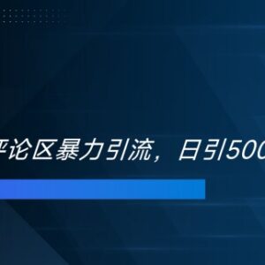 2024双十一电商评论区引流技巧 日引500+精准创业粉实操教程-雨叶虚拟资源网