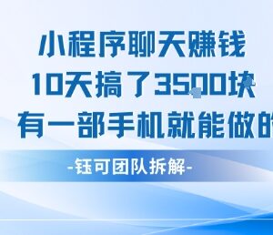 小程序聊天赚钱实操项目分享 仅用手机10天可获收益3500元-雨叶虚拟资源网