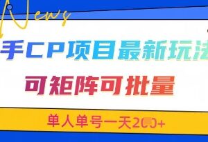 快手CP交友赛道最新实操玩法 可矩阵批量操作单人单号日入200+-雨叶虚拟资源网