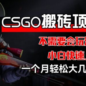 2024CSGO装备搬砖项目实操 小白无需会玩游戏也可月入数千-雨叶虚拟资源网
