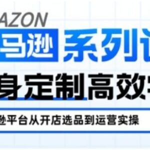 亚马逊新手开店全阶段教程 从入门到精通覆盖各运营核心要点-雨叶虚拟资源网