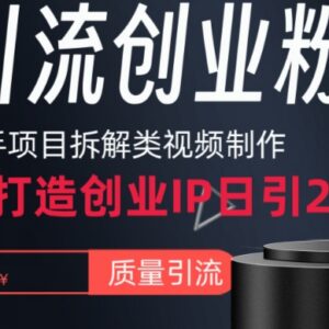 快手项目拆解类视频制作全流程 打造个人IP引流创业粉实操指南-雨叶虚拟资源网