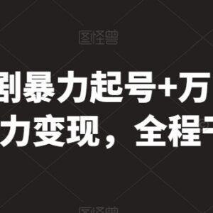 短剧暴力起号实操方法与万能去重技巧 变现干货教程分享-雨叶虚拟资源网