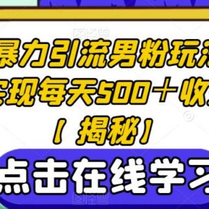 Soul平台男粉引流实操教程 可实现日均500+收益的实用玩法-雨叶虚拟资源网