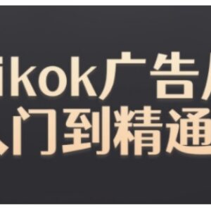 TikTok Ads实操全教程 从入门到精通掌握广告投放全流程-雨叶虚拟资源网