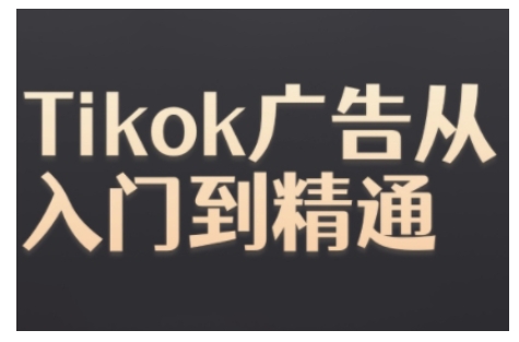 TikTok Ads实操全教程 从入门到精通掌握广告投放全流程