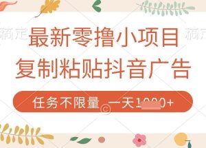 零撸小项目实操教程：复制抖音广告提交任务平台即可赚收益-雨叶虚拟资源网
