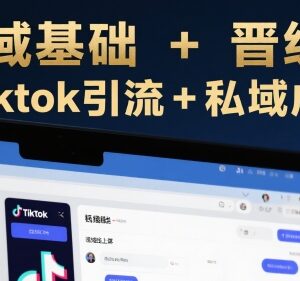 跨境私域基础到晋级系统线上课 TikTok引流到私域成交实操教程-雨叶虚拟资源网