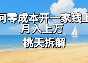 零成本开线上超市的两种实操方法 普通人做副业可实现月入过万-雨叶虚拟资源网