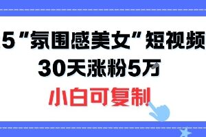 2025不露脸氛围感美女短视频玩法 小白零门槛30天涨粉5W可复制-雨叶虚拟资源网