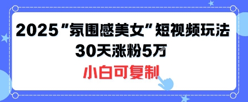 2025不露脸氛围感美女短视频玩法 小白零门槛30天涨粉5W可复制