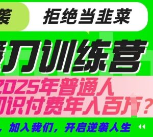 2025年普通人如何靠知识付费逆袭 镰刀训练营IP合伙人项目详解-雨叶虚拟资源网