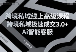 跨境私域极速成交3.0+AI智能客服高级线上课程内容详解-雨叶虚拟资源网
