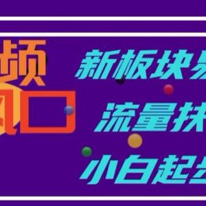 中视频全新扶持板块玩法详解 零基础小白入门实操指南-雨叶虚拟资源网