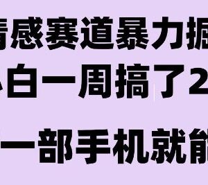 情感暴力掘金项目全玩法拆解 新人零基础可操作长期稳定盈利-雨叶虚拟资源网